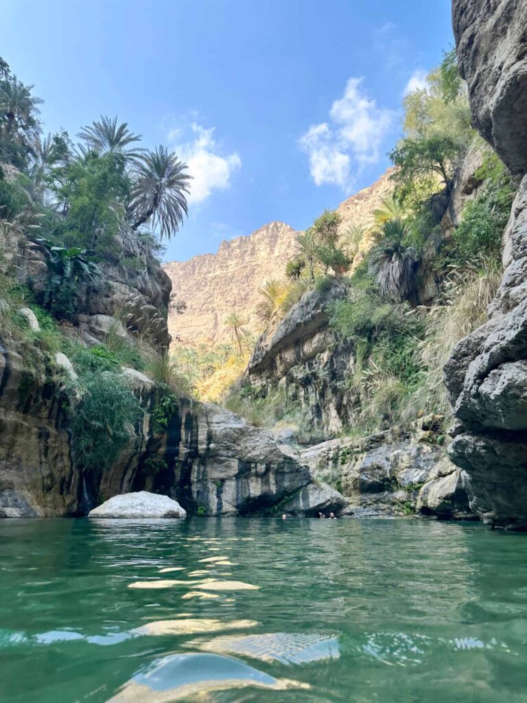A beautiful view of the wadi pool with lush green canyon walls covered in palms on either side