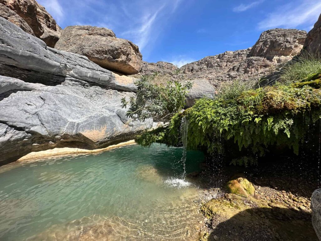 Water cascading over fern and rock into a turquoise pool in Wadi Damm