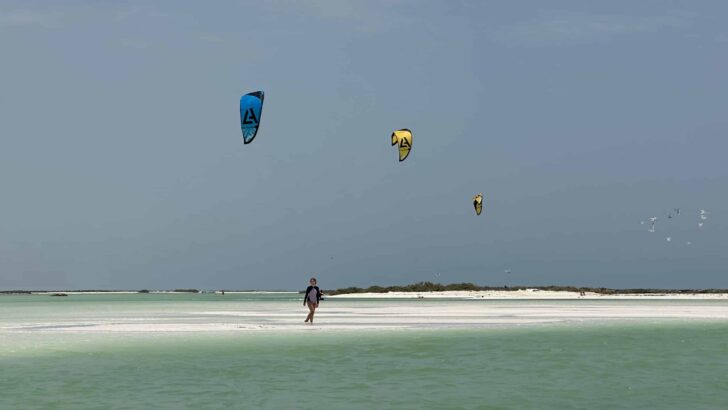 Visiting Barr Al Hikman - one of Oman's most remote beaches