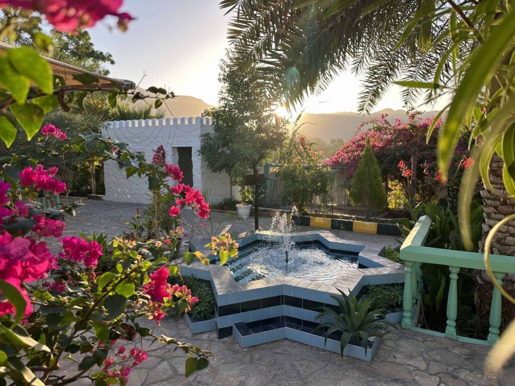Fountain in the gardens of Valley Cliff Inn with sun coming up through the frond of a palm tree
