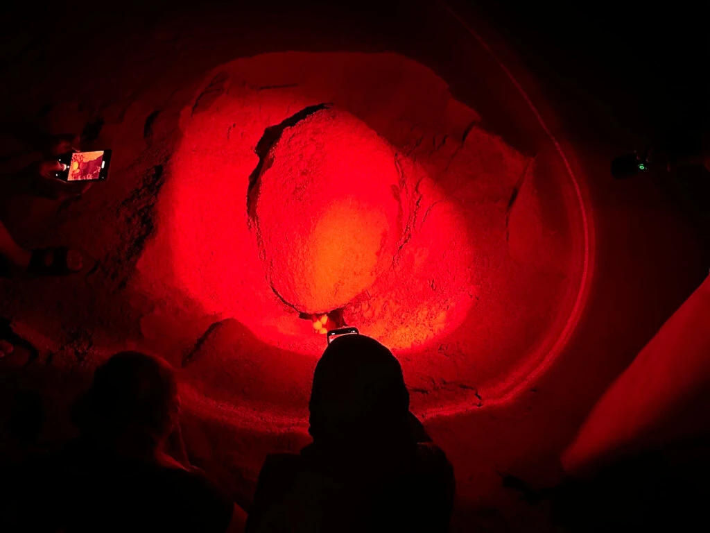 Visitors take pictures of a Green Turtle as it lays its eggs on the beach at Ras Al Jinz. The turtle is illuminated by a red torch light