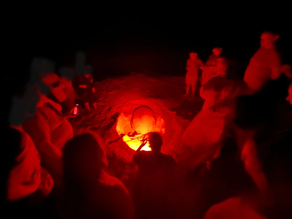 Our tour group stands in a semi-circle around a nesting Green Turtle