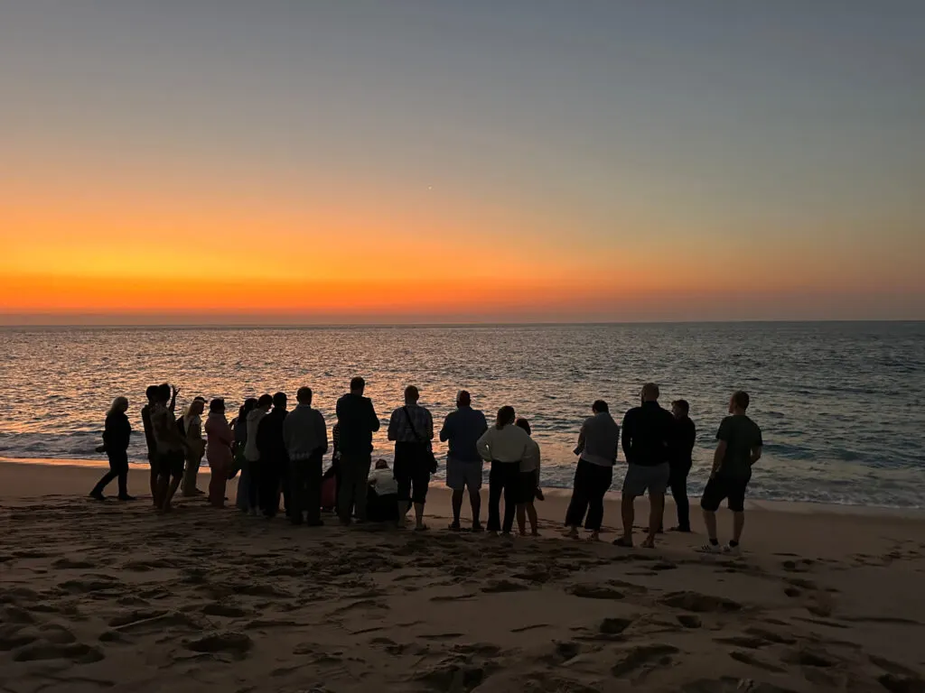 A large group of people looking at a baby turtle on the beach at Ras Al Jinz at sunrise