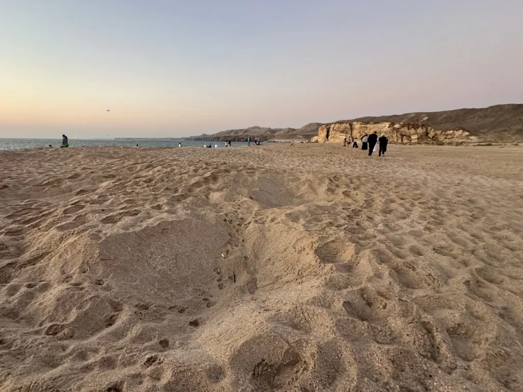 A depression in the sand on the beach at Ras Al Jinz where there is a turtle nest