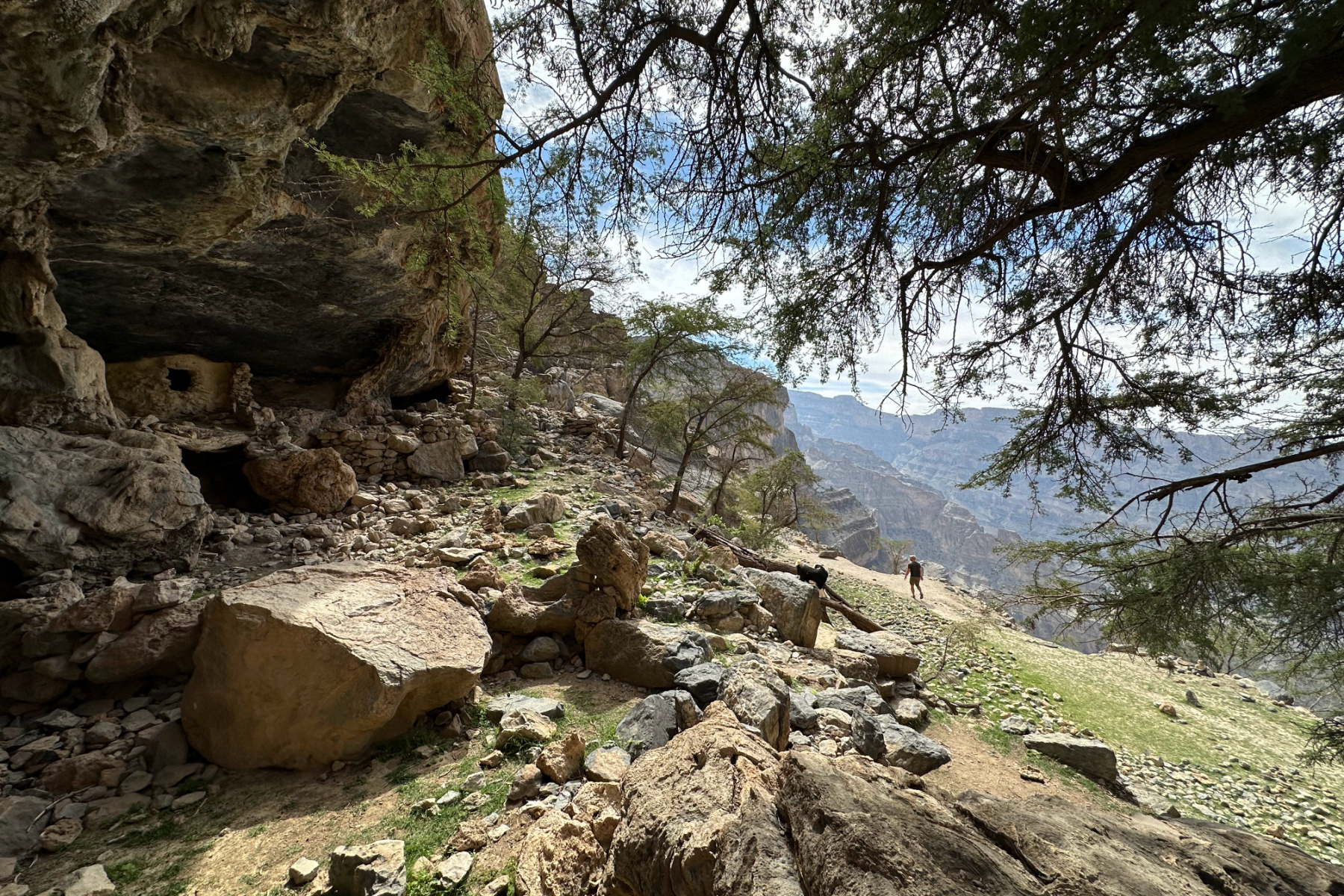 My husband walking along the terraces at As Sab village on Jebel Shams