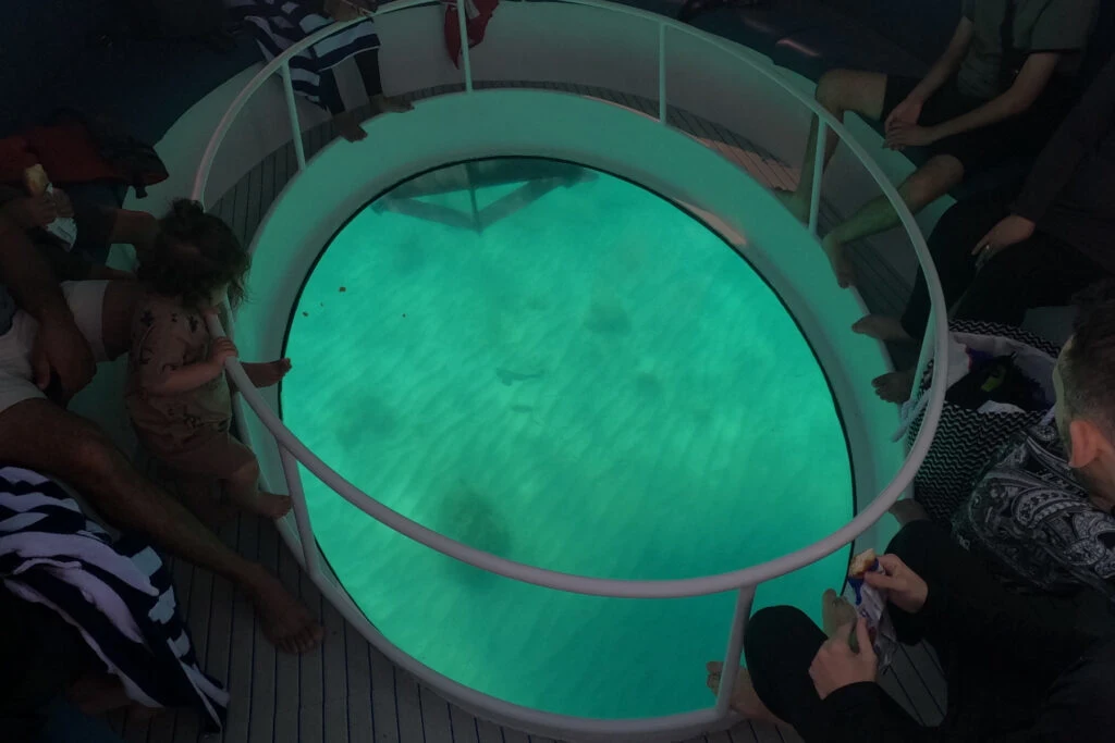 A view through the glass bottom of the Seascape tour boat