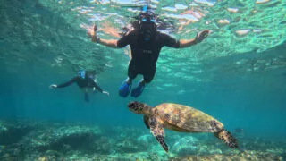 My husband and I snorkelling with a turtle swimming in front of us
