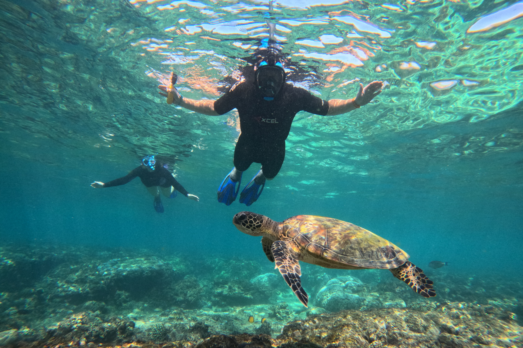 My husband and I snorkelling with a turtle swimming in front of us