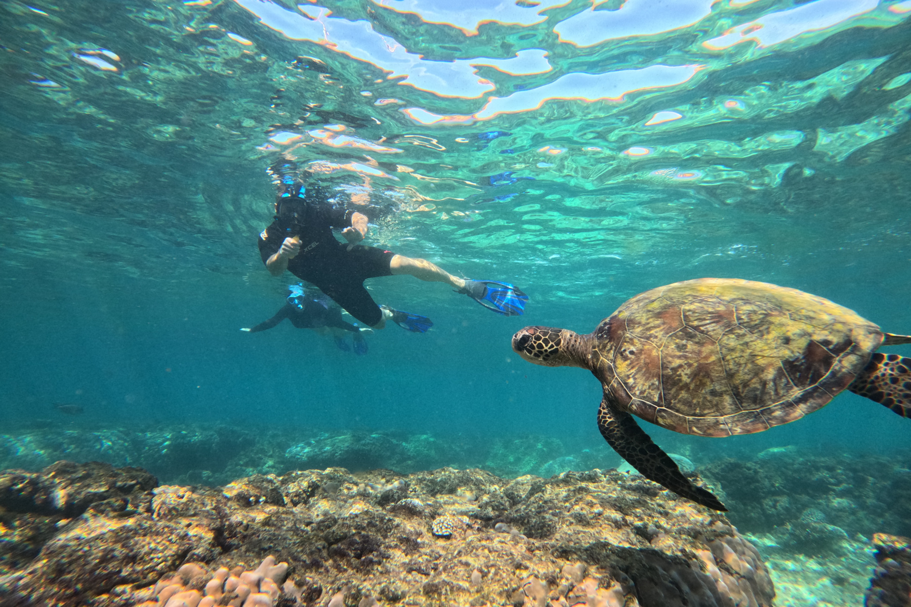 My husband and I snorkelling with a turtle swimming in front of us
