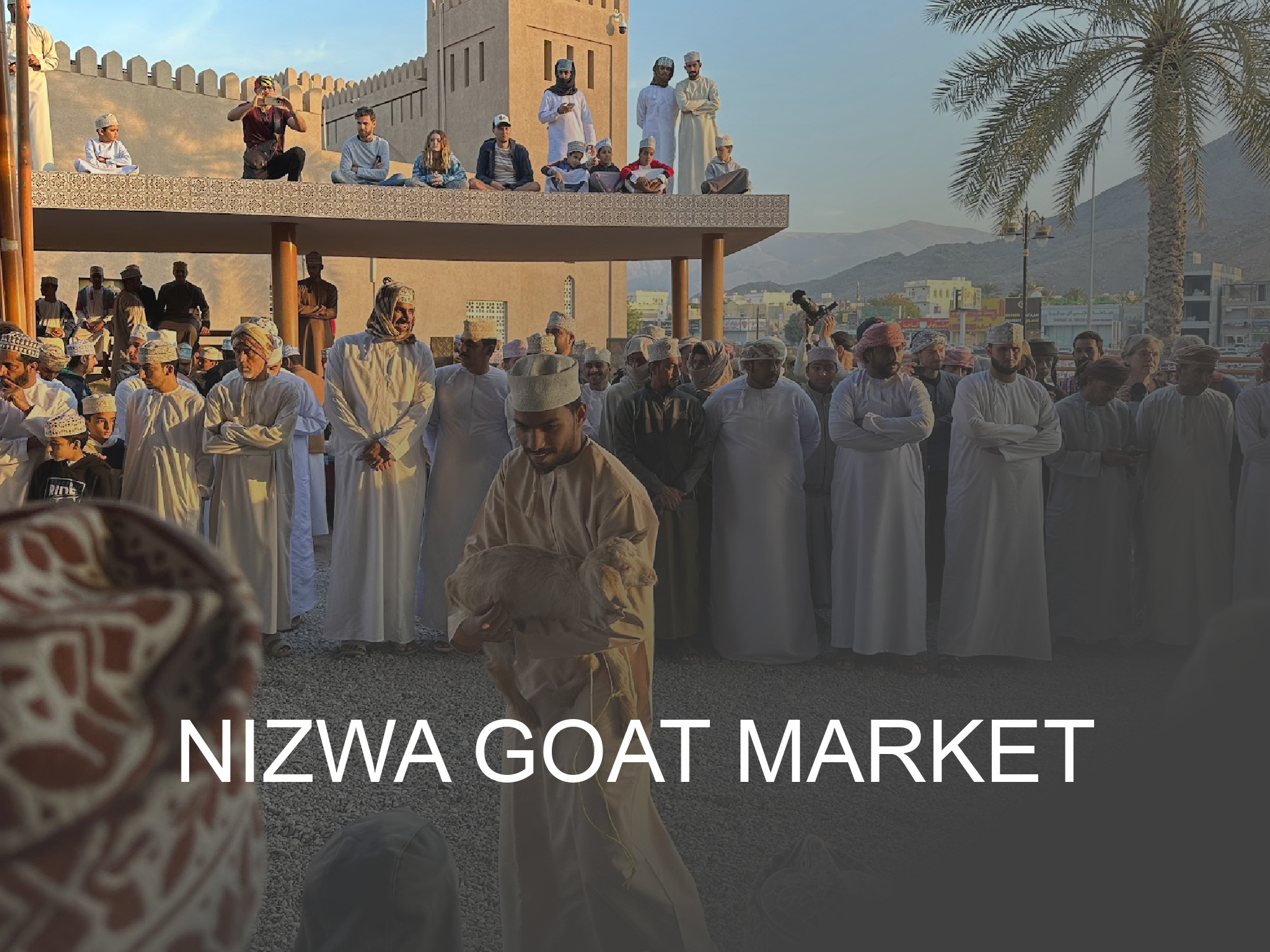 Click this button for a guide to Nizwa Goat Market