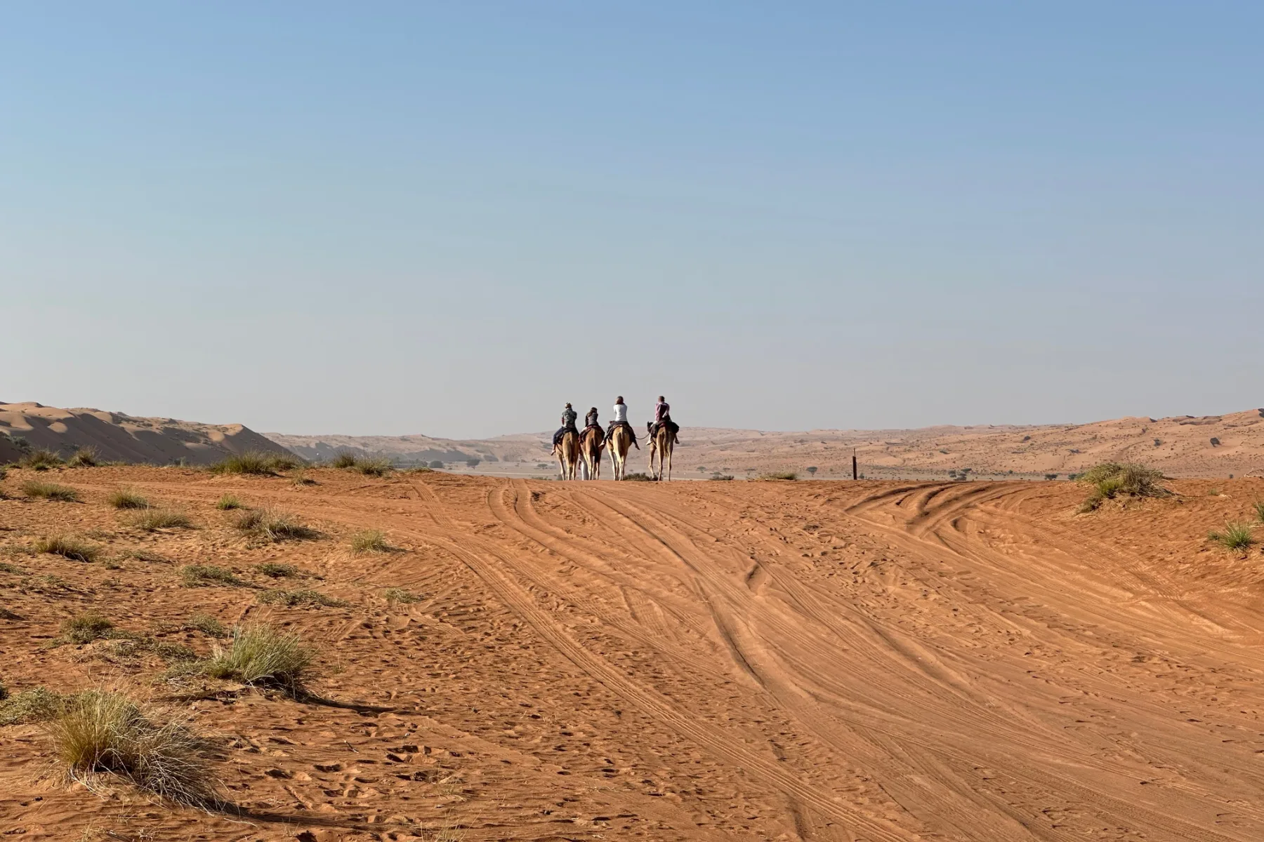 A view of this traditional Bedouin camp from a nearby dune