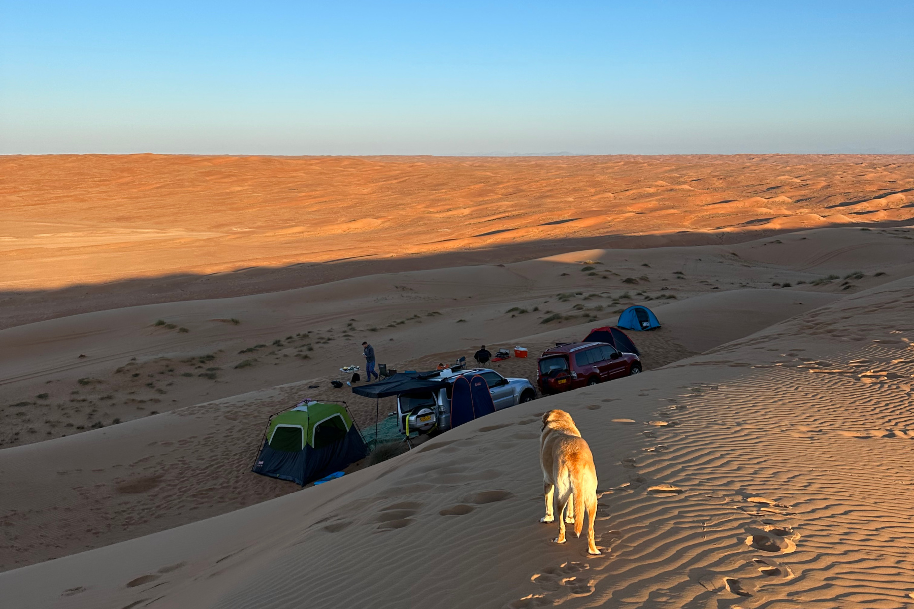 Our dog looks down on a camp we have made near the top of a sand dune in Wahiba Sands desert