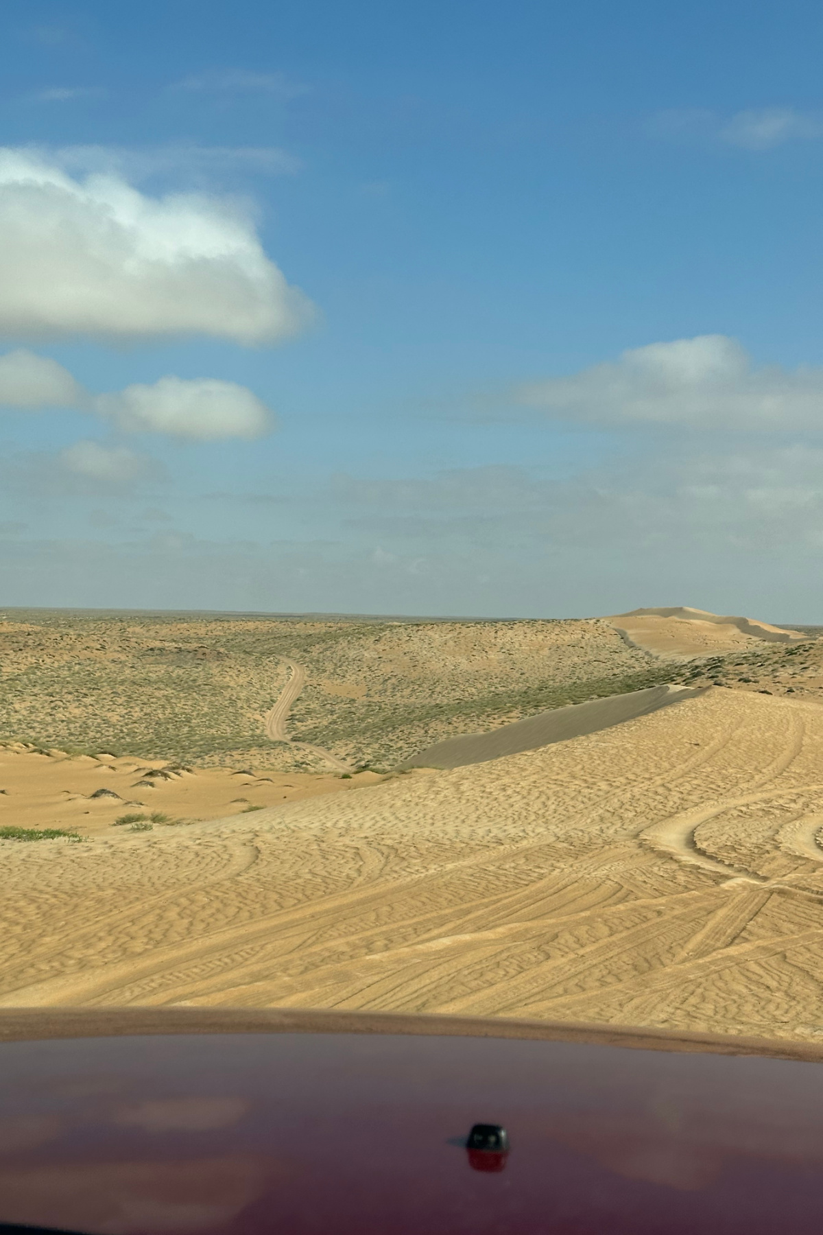 Our first view of the Bedouin road stretching out in front of us. It's route can be seen as a sandy track through green scrub