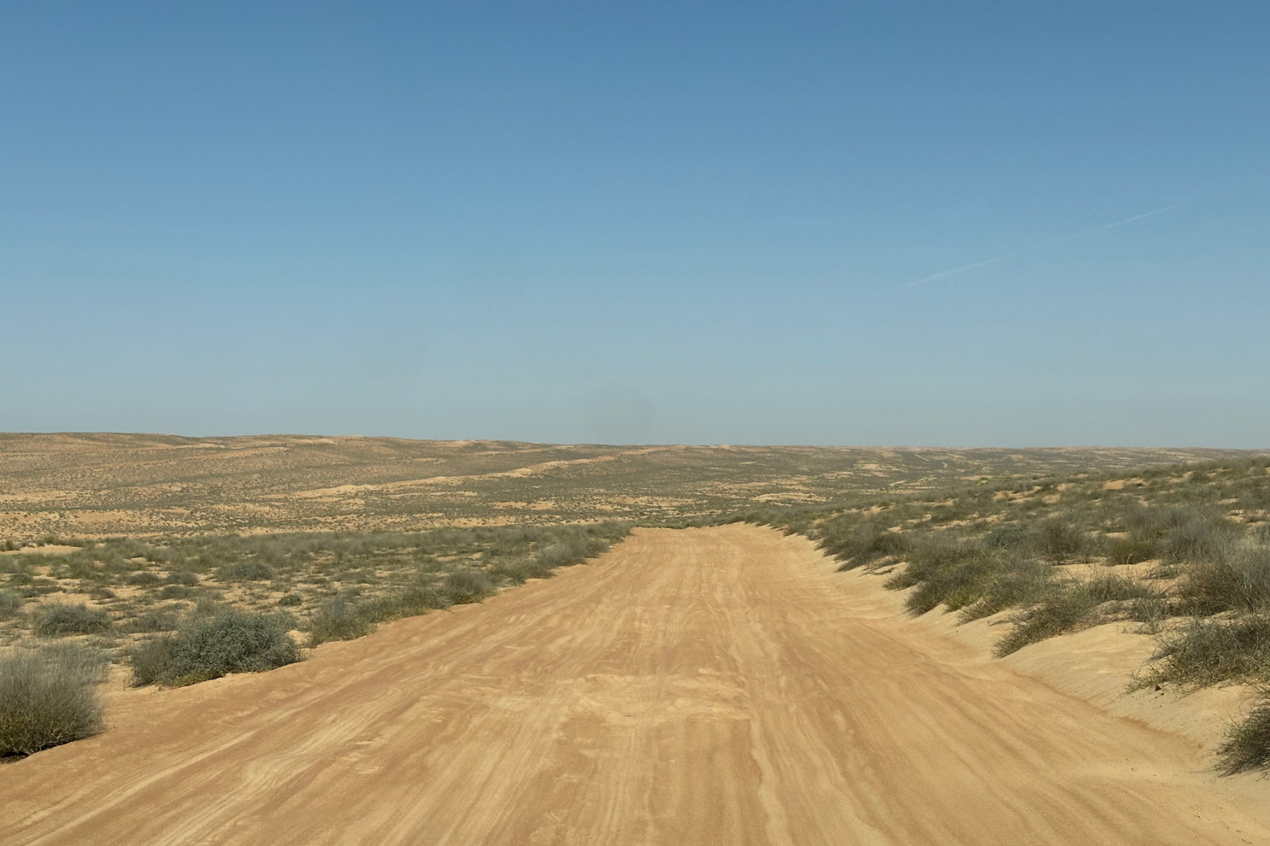 The Bedouin road stretching out in front of our car. There are scrubby plants on either side of the sand track.