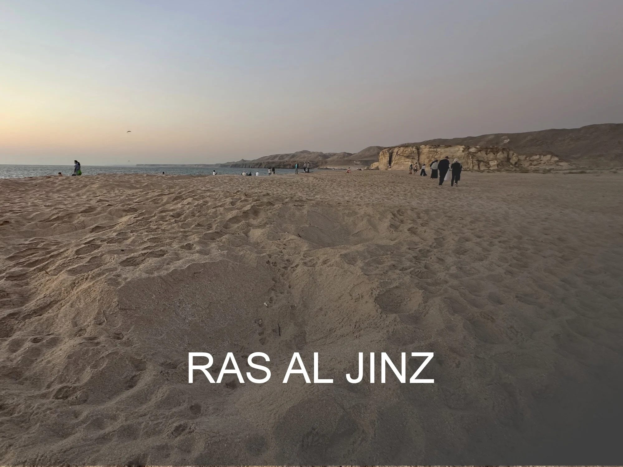 Click this button for a guide to Ras Al Jinz