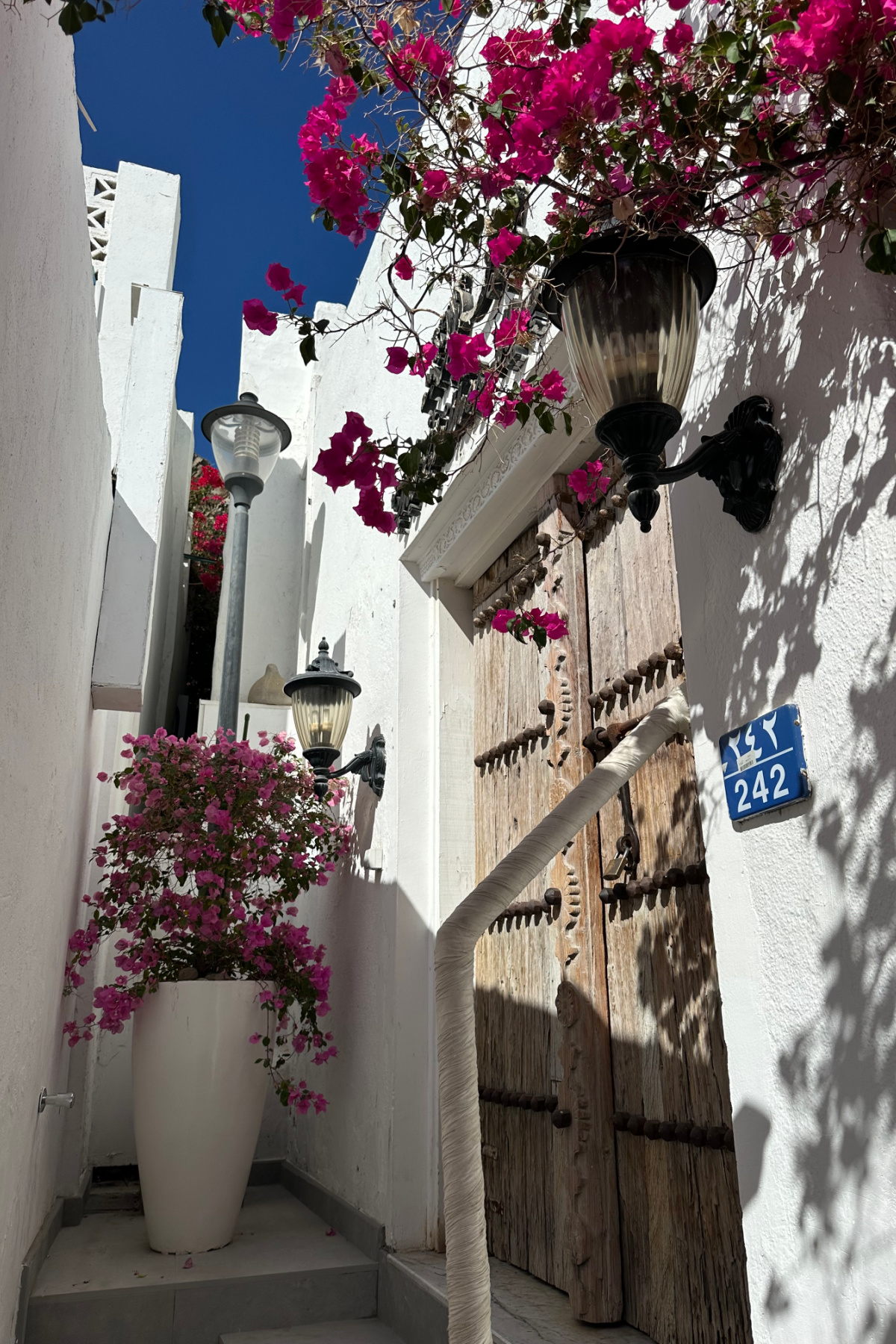 White washed buildings and pink desert roses in an alley in Muttrah