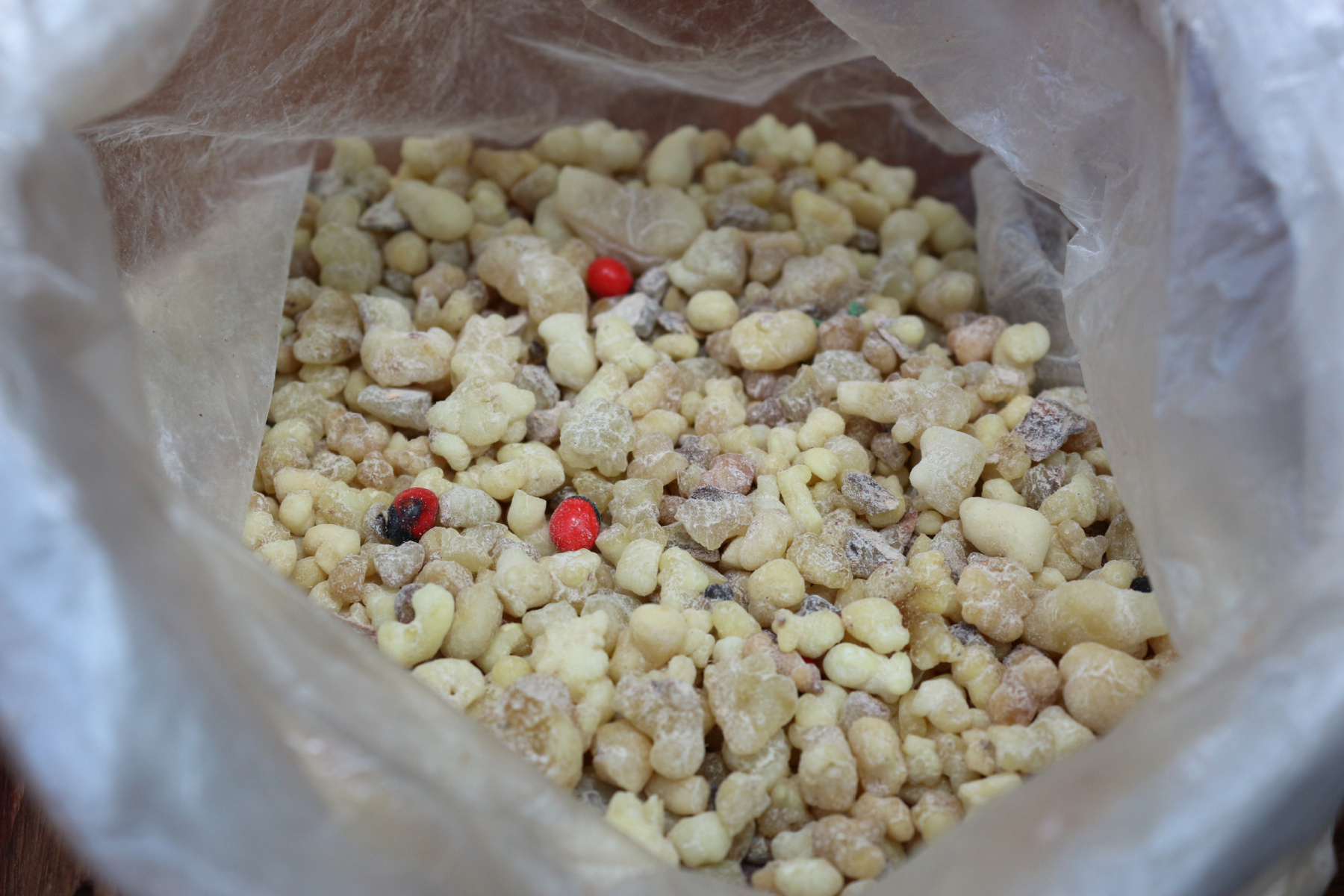 A plastic bag full of pieces of creamy coloured frankincense resin