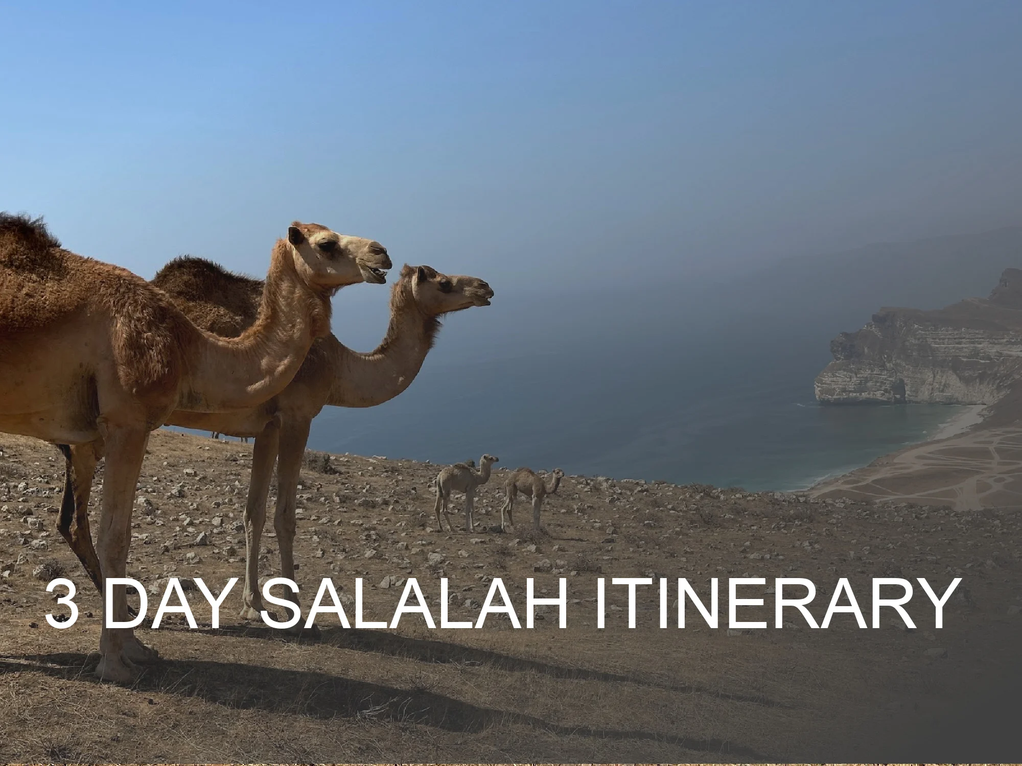Click here for a suggested itinerary for 3 days in Salalah