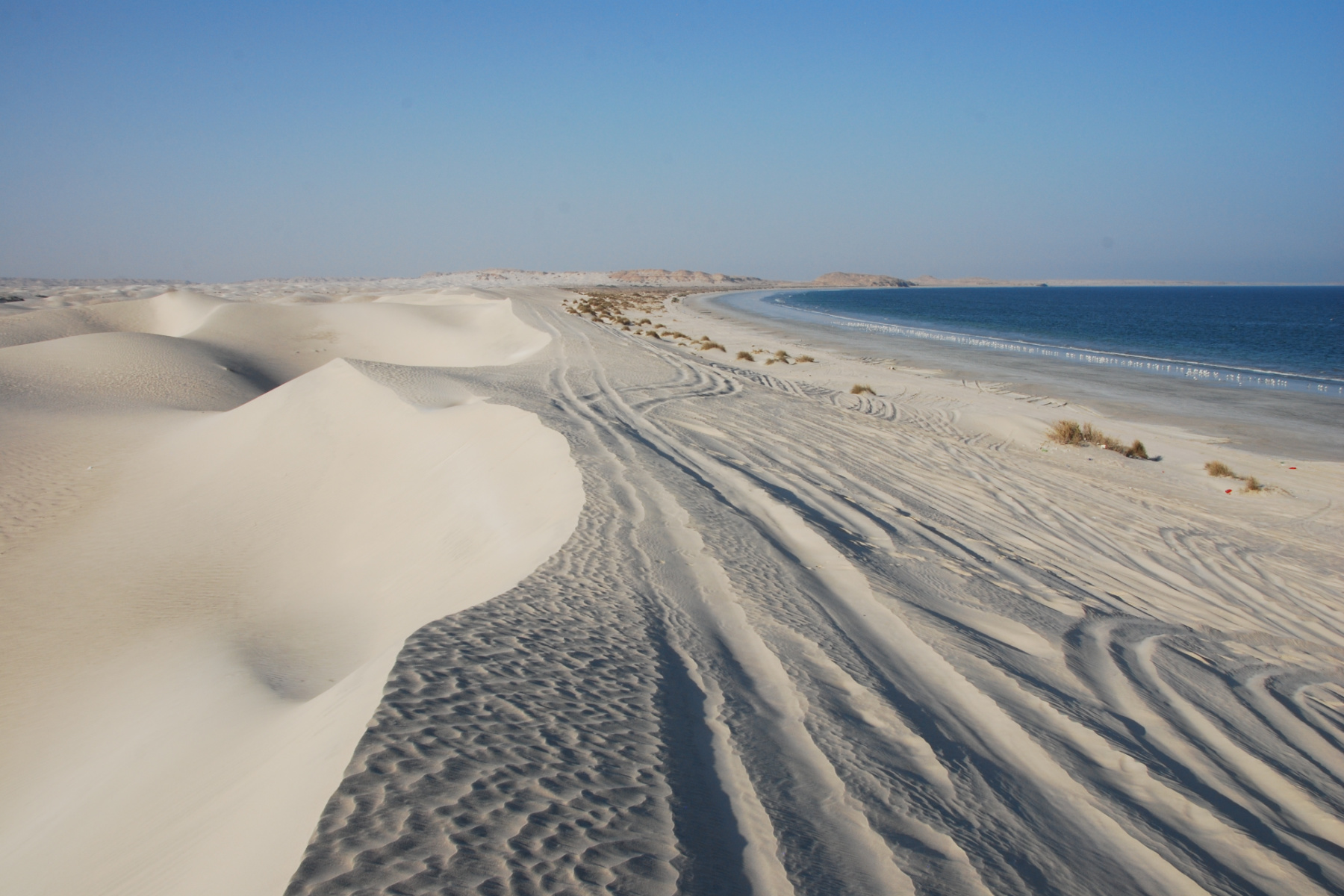White sand dunes with car tracks down them. The dunes roll onto the beach
