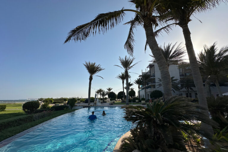 My family in the outdoor pool with palm trees in the background
