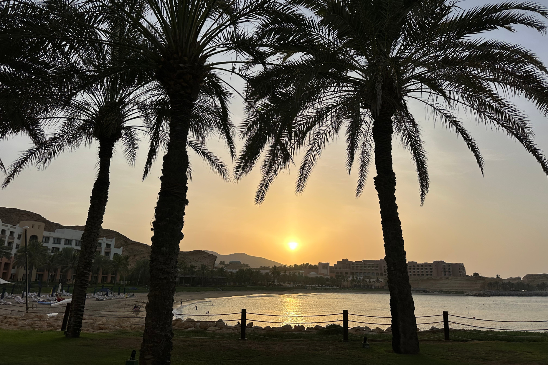 Setting sun between palm trees at the Hilton Muscat
