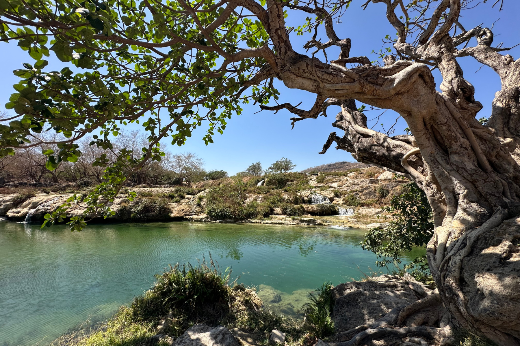 Wadi Darbat Steps Waterfall. The water is flowing slowly into a turquoise pool
