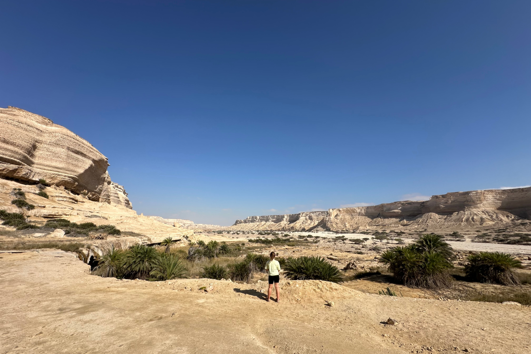 My daughter stood looking down the wide valley of Wadi Shuwaymiyyah