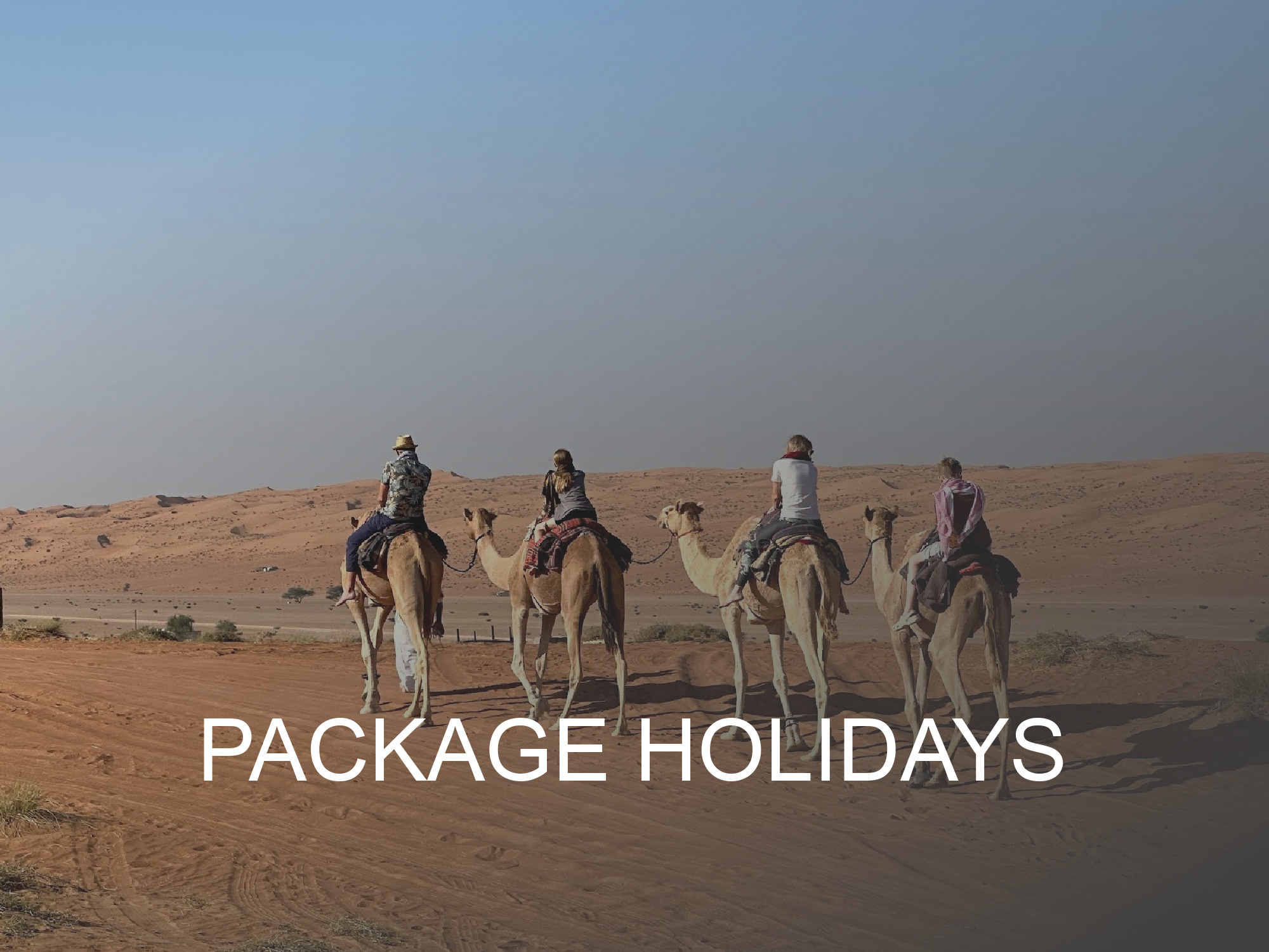 Package holidays button