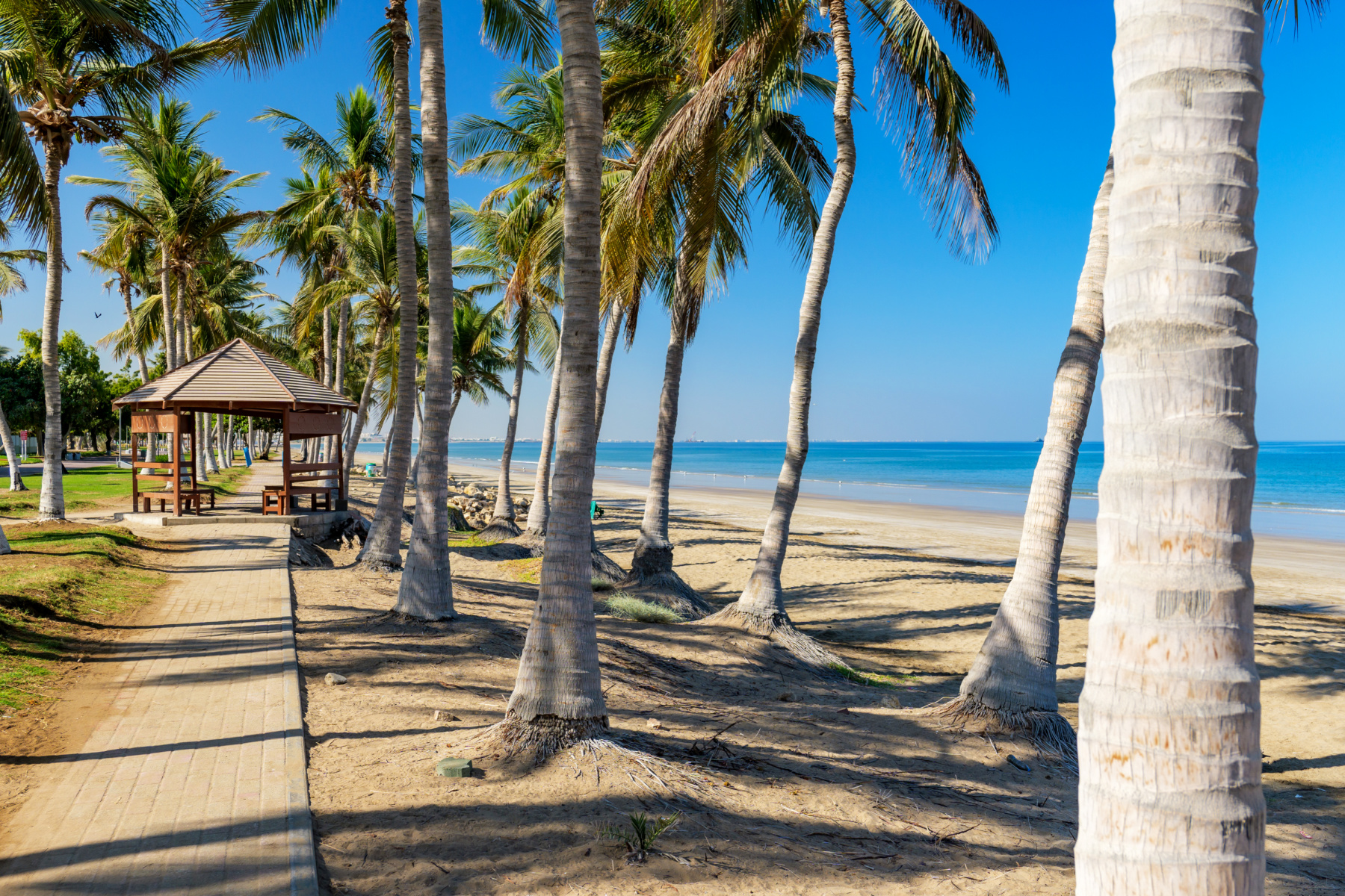 Palm trees line the sea front at Shatti Al Qurum public beach in Muscat, Oman