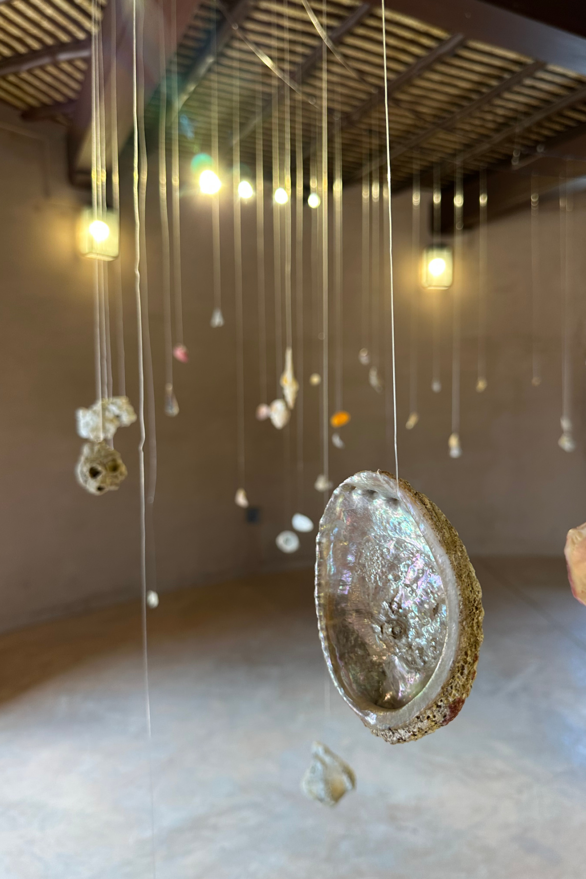 A collection of shells hanging from the ceiling by threads - an artwork on display in Al Mirani Fort when I visited
